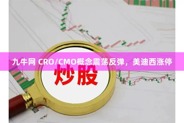 九牛网 CRO/CMO概念震荡反弹，美迪西涨停
