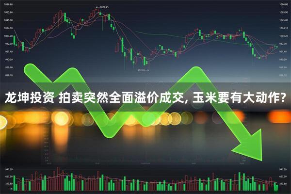 龙坤投资 拍卖突然全面溢价成交, 玉米要有大动作?