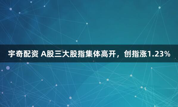 宇奇配资 A股三大股指集体高开，创指涨1.23%